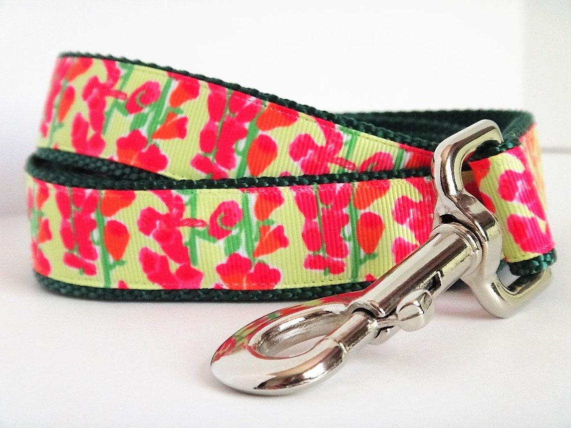 Dog Collar and optional Leash Set Pretty Girl Dog Collar Etsy