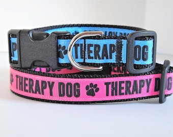 therapy dog lead