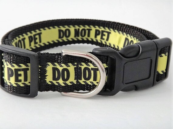 aggressive dog collar