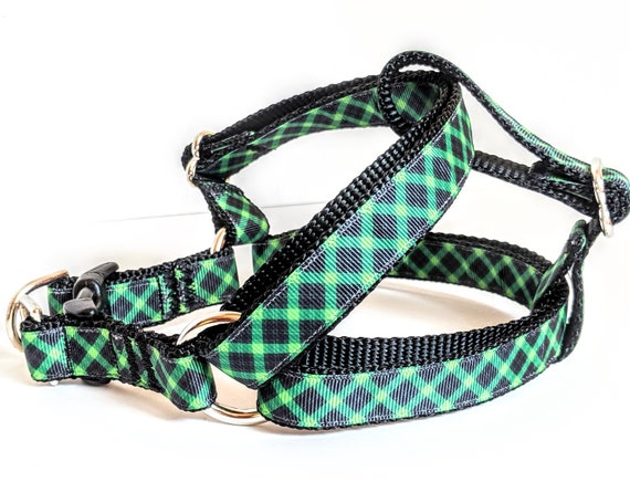 checkered dog harness