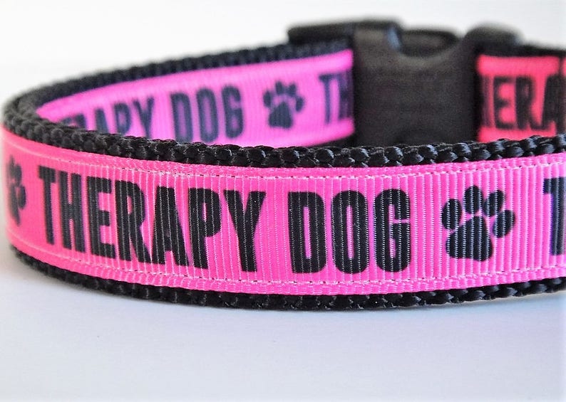 Therapy Dog Collar & Optional Leash Set in Pink or Blue Small Dog or Large Dog Collar for Therapy Dog Boy or Girl Therapy Dog Collar image 2