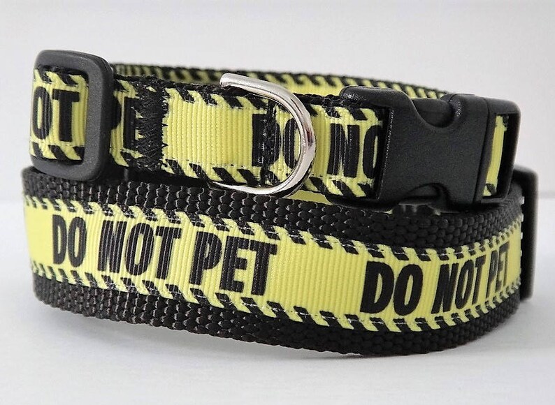 Dog Collar Aggressive Dog Collar Do Not Pet Dog Collar Etsy