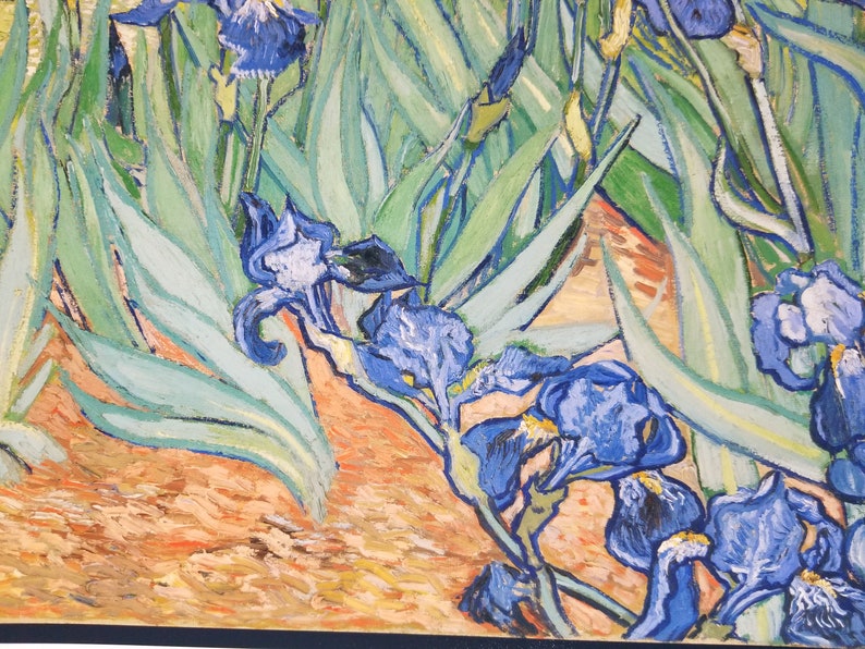 Vincent Van Gogh Irises Print Poster 1889 Beautiful Print Etsy