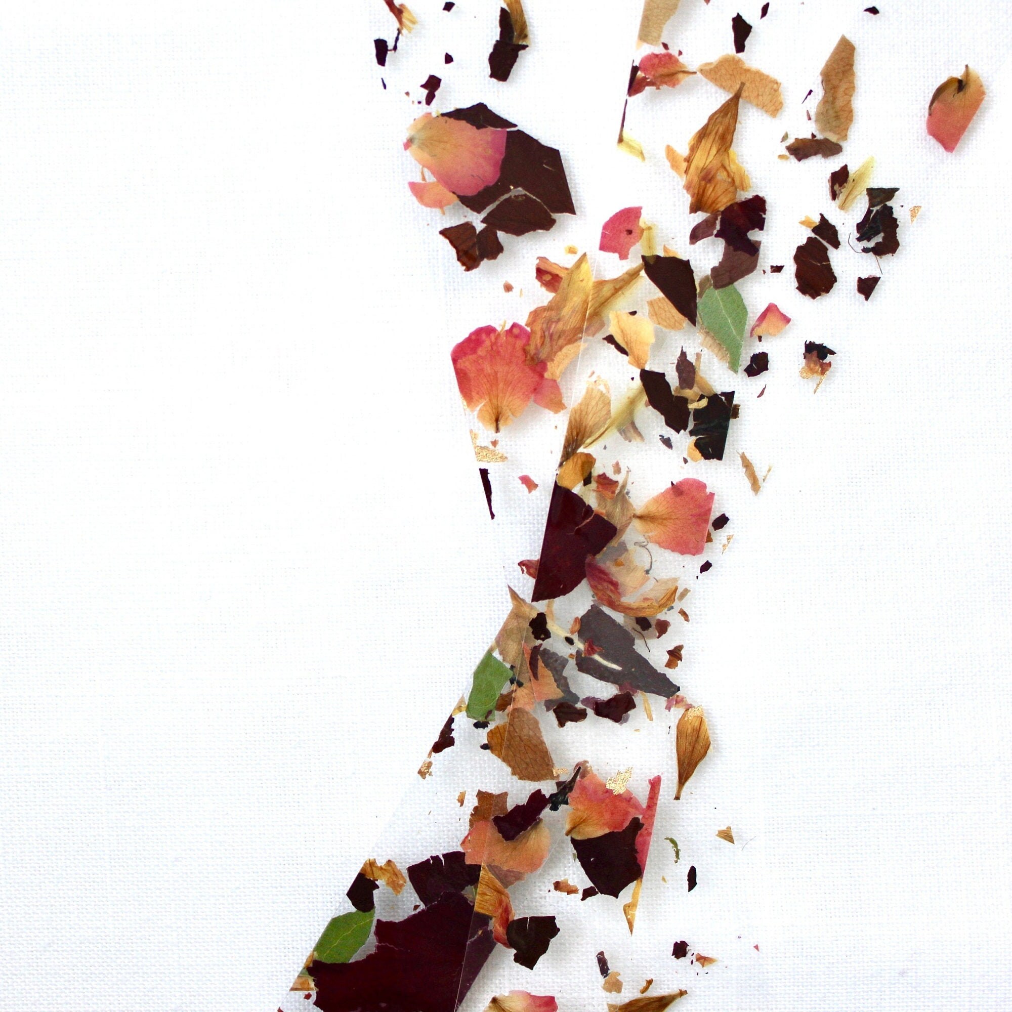 Dried Flower Gold Foil Belly Band Vellum Wrap 5x7 Wedding Etsy Canada