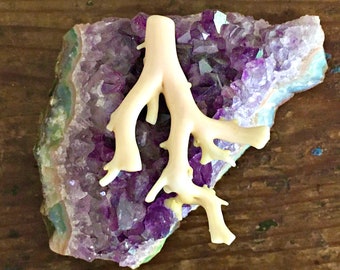 Rare Natural Coral Branch ~ Cabinet of Curiosities ~ Victorian White Coral Branch