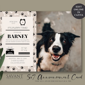 May include: A 5x7 announcement card with a black and white border collie puppy. The card has a beige background with black paw prints and bones. The text on the card reads "It's Puppy Time!" and "Introducing Barney". The card also includes the puppy's weight, height, and length, as well as the date the puppy was adopted. The card is designed to be printed as a JPG or sent digitally as a PNG.