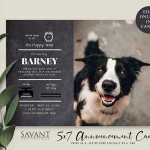 Modelo de quadro-negro editável para animais de estimação, adotamos cartão de anúncio, cachorrinho 5x7 - enviar como impressão ou ditigal, PWA2