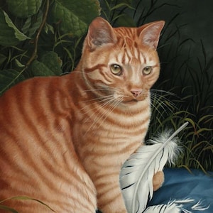 Felix Cartão Postal Artista Suzan Visser Arte Ilustração Surreal Luz Arte magia Fantasia Céu Sonhos Gato Pena Animal Momento Jardim Vermelho Branco