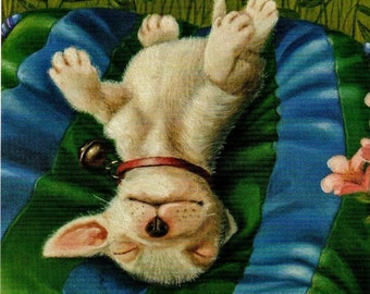 Puppy Postcard Artist Suzan Visser Art Illustration Surreal Light Art magic Fantasy cozy Summer Animals Satisfied pet Dog Pets Nice Naps