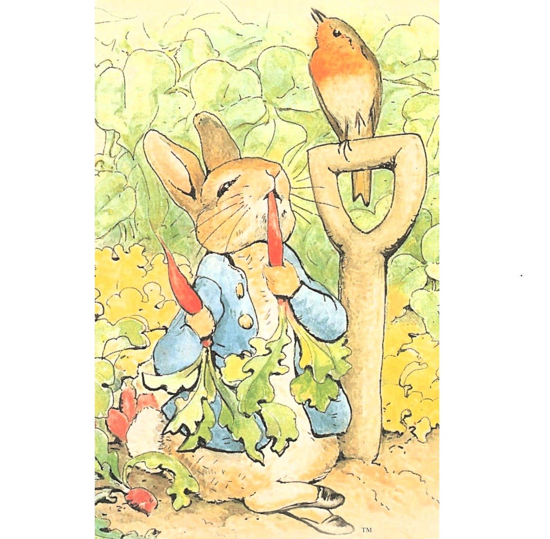 The Tale of Peter Rabbit Munching Radishes Artist Beatrix Potter Cozy ...