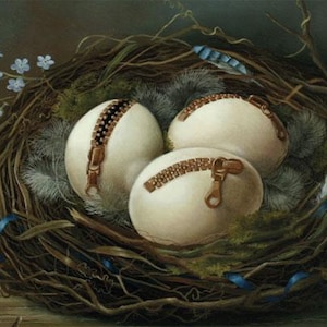 Ninho miosótis Cartão postal Artista Suzan Visser Arte Ilustração Surreal Luz mágica Fantasia Natureza Pássaro Ovos Penugem zíper Primavera