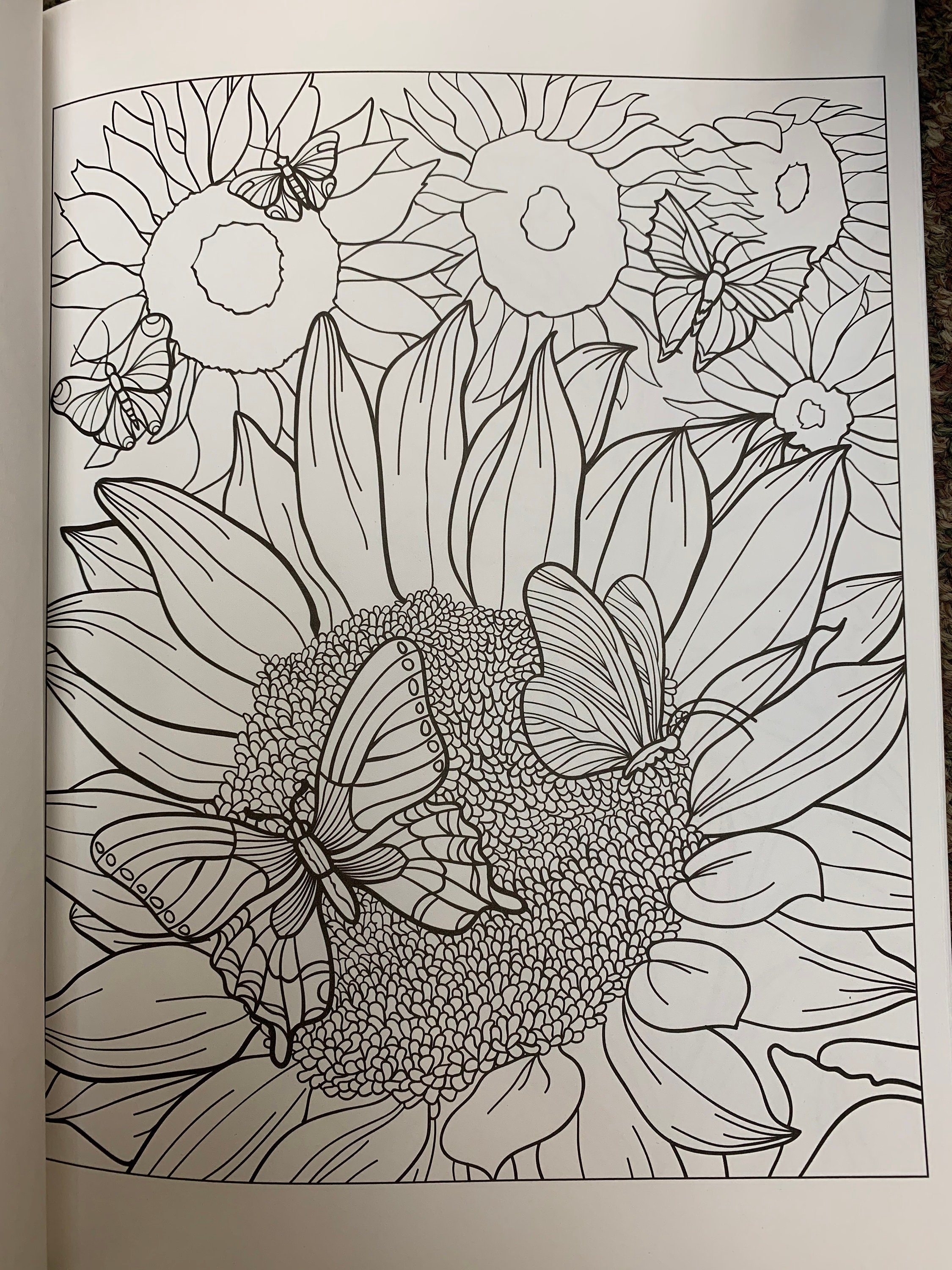 Creative Haven Beautiful Butterfly Designs Coloring Book - Etsy