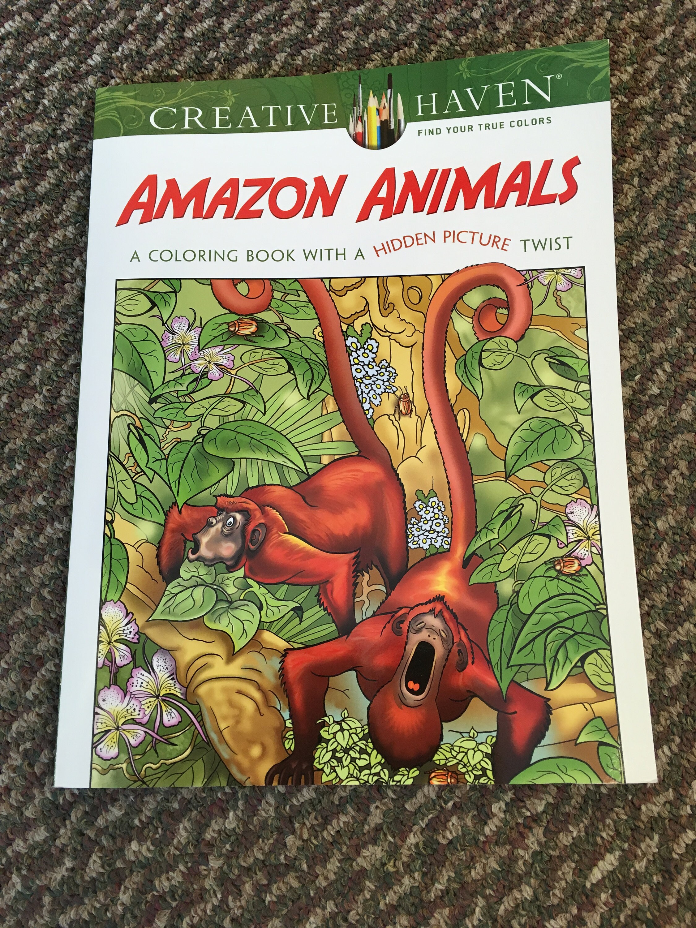 Download Creative Haven Amazon Animals Coloring Book With A Hidden Etsy