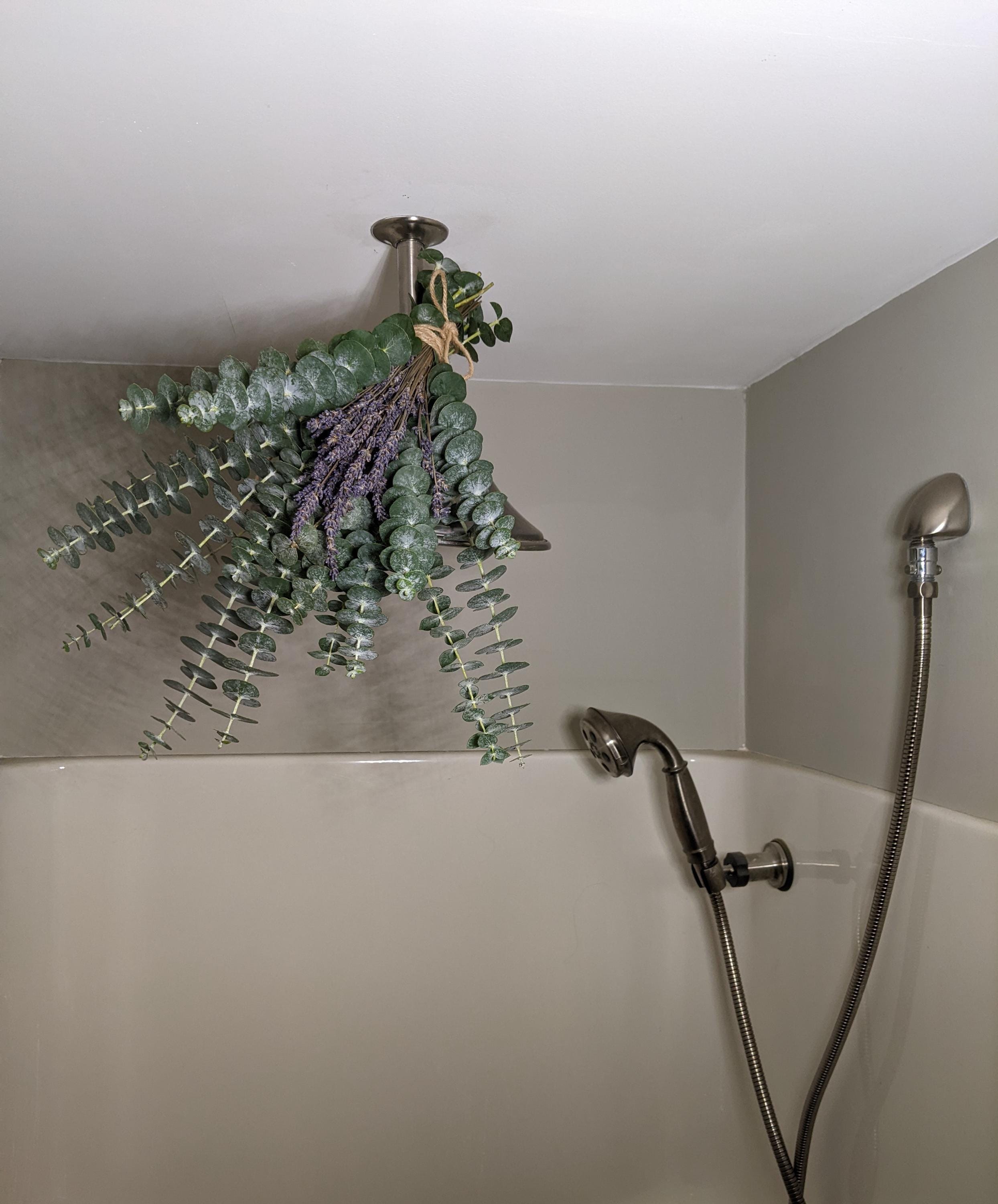 Shower Bundle - Fresh Eucalyptus - Dried Lavender - Natural ...
