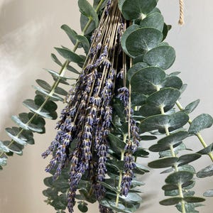 Shower Bundle - Fresh Eucalyptus - Dried Lavender - Natural - Aromatherapy - Spa - Self care - Relaxation - Cold Remedy