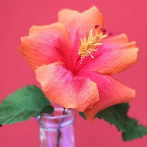 Krepppapier Hibiskus Muster Vorlage PDF, SVG Schnittdatei mit Kompletten Anleitungsvideos für Cricut Maker und Handschneiden