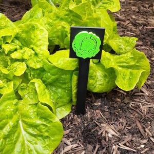 3D Printed Lettuce Sign