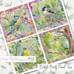 May include: A set of four watercolour panels depicting British birds, including a blue tit, a bird on a fence, a yellow bird, and a green woodpecker. Each panel features a bird in a natural setting, framed with a floral border. The text "British Birds Panel Two" is present.