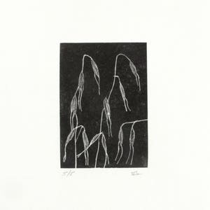 Wild oats wood engraving by John Hall