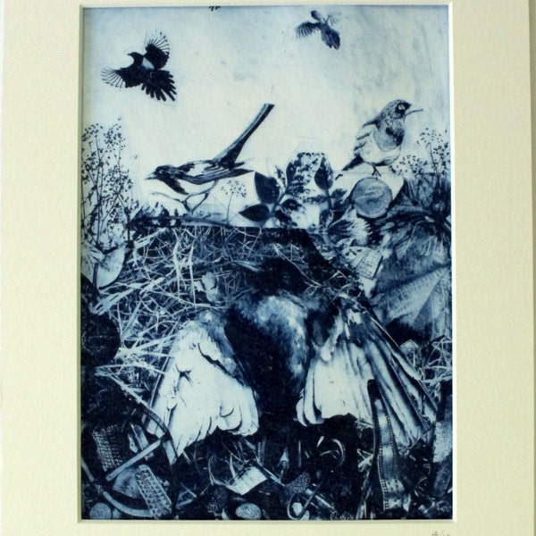 Magpies and treasure. Bird print in blue. Photo etching limited edition. Dead bird. Cuerdale Hoard.