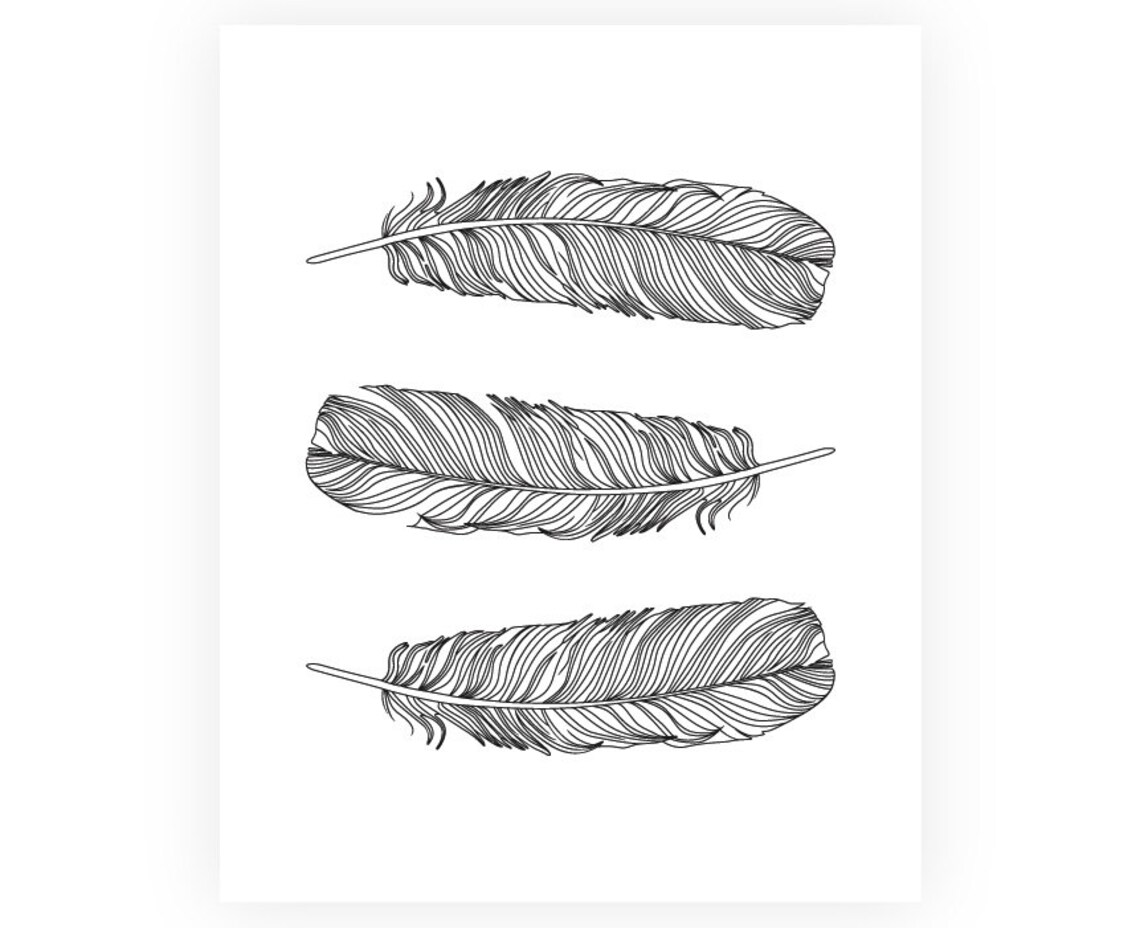 Black and White Feather Print Feather Wall Art Feather Wall Etsy