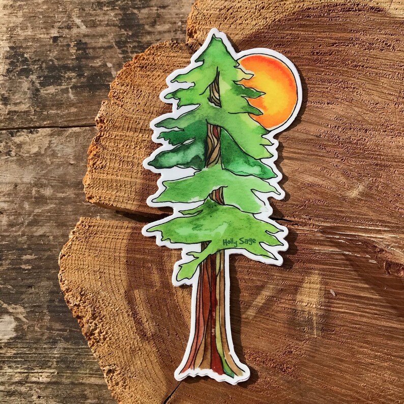 Redwood Tree Vinyl Sticker Laptop Sticker Waterproof Etsy