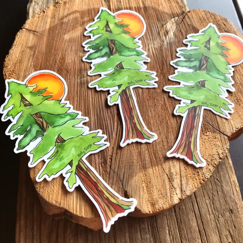 Redwood Tree Vinyl Sticker Laptop Sticker Waterproof Etsy
