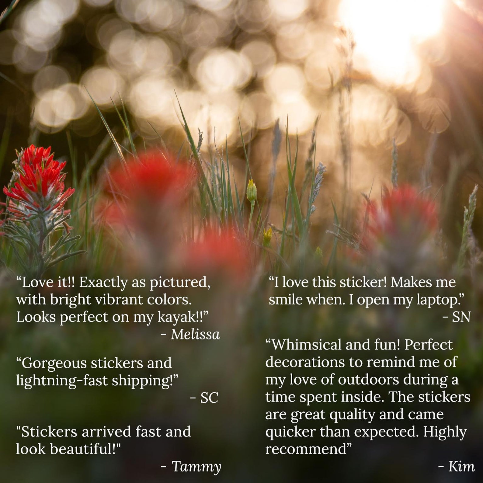 Redwood Tree Vinyl Sticker Laptop Sticker Waterproof Etsy