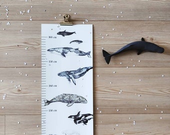 Measuring poster for children "whales"