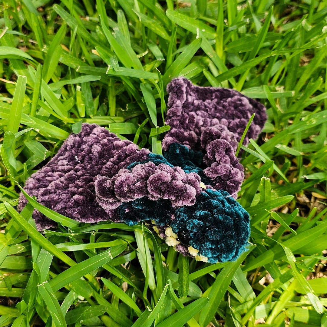 Moth Friend Crochet Plush Moth Friend - Etsy