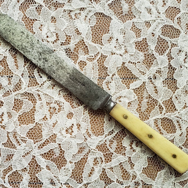 Bone Handled Butter Knife Etsy