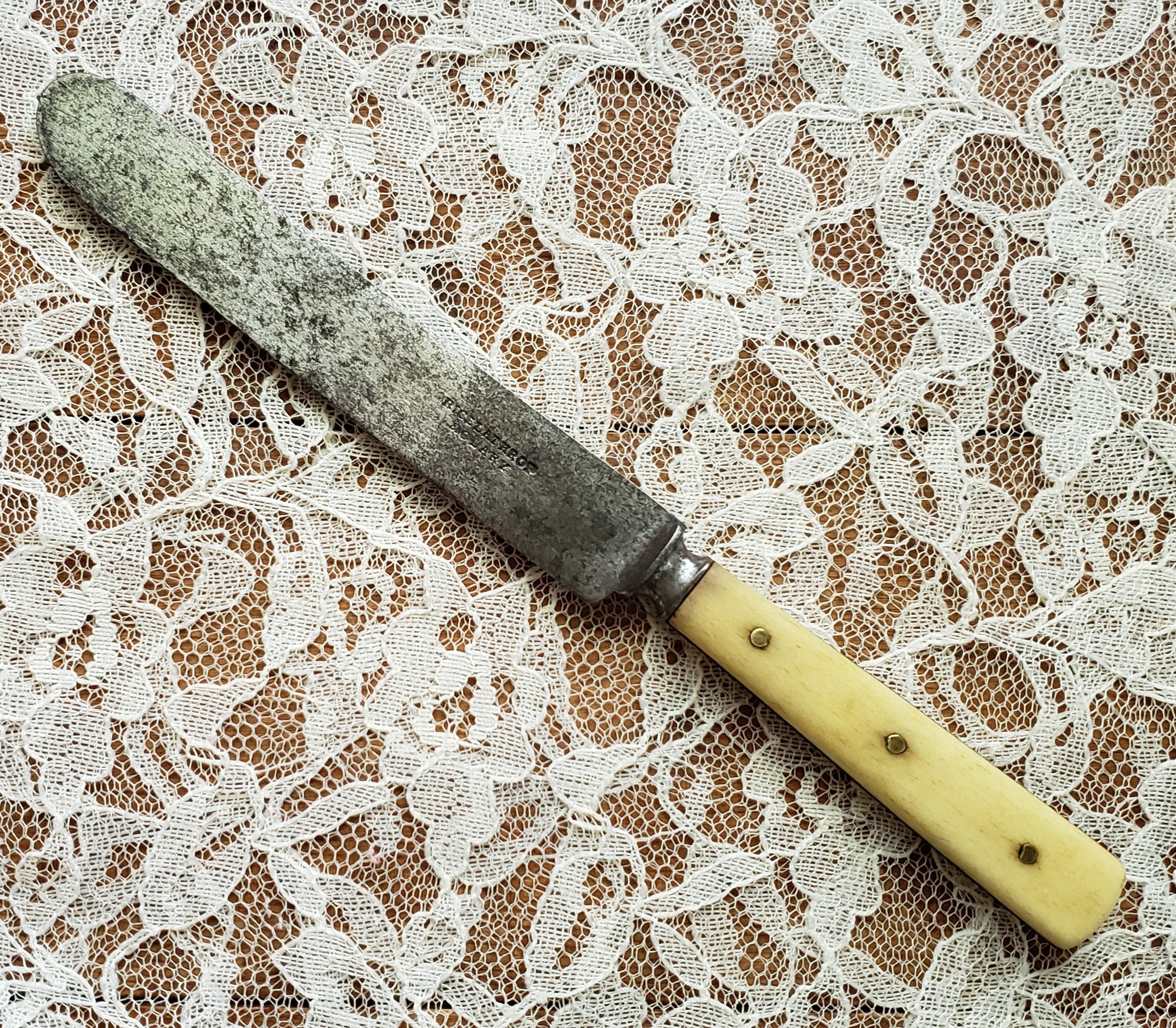Bone handle sale butter knife