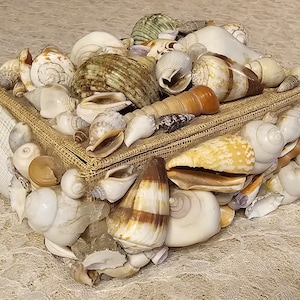 May include: A decorative box made of burlap and adorned with a variety of seashells in shades of white, brown, and beige. The box is filled with seashells of different shapes and sizes, creating a beautiful and natural display.