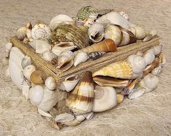 Vintage Seashell Box, Large Handmade 8" x 6", with Exotic Green Turbos, Jewelry Box, Mermaid Trinkets, Ocean Nautical, Collectible Box