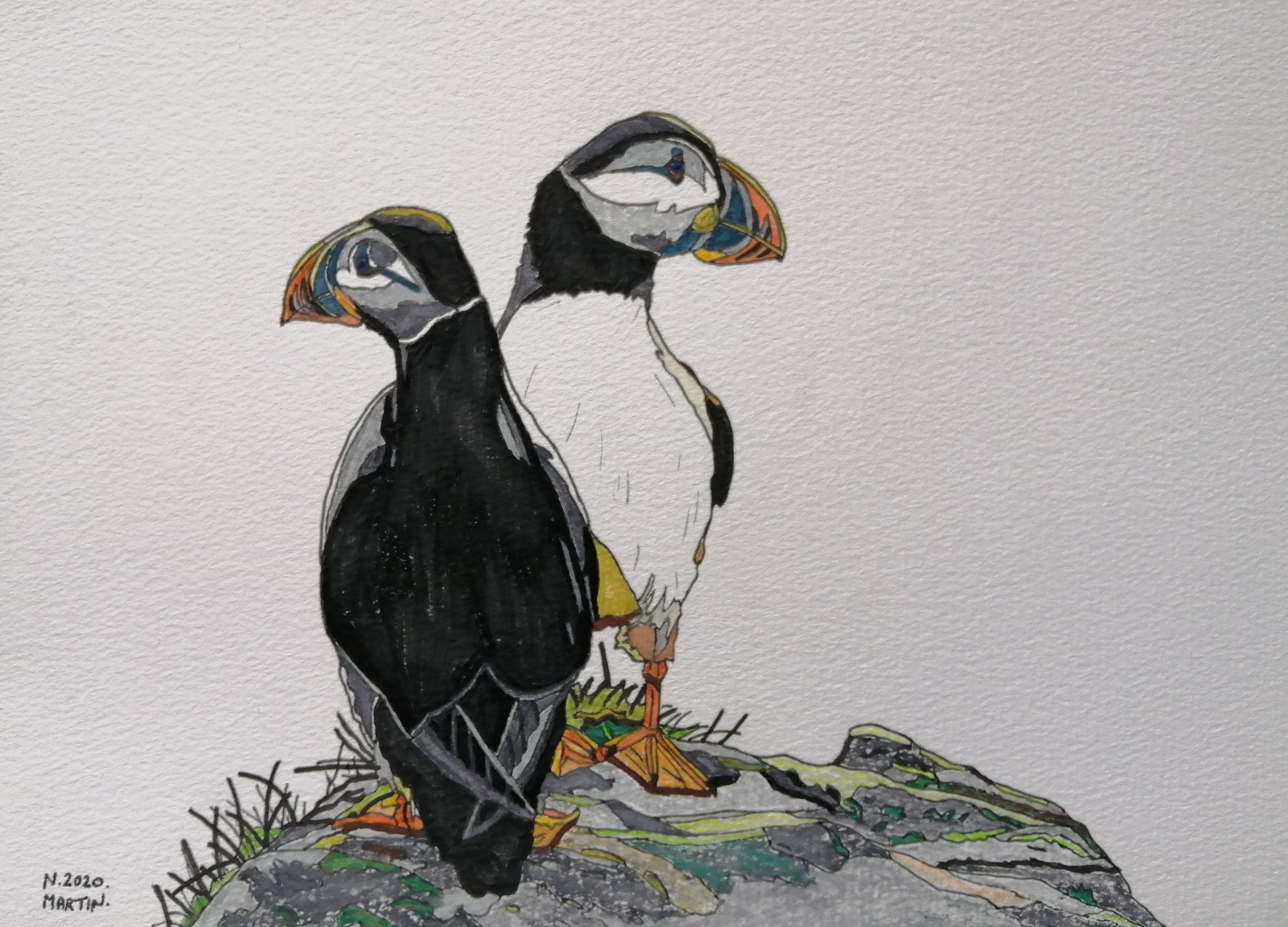 Puffins Drawing / Puffins Painting A4 Size Handdrawn Etsy