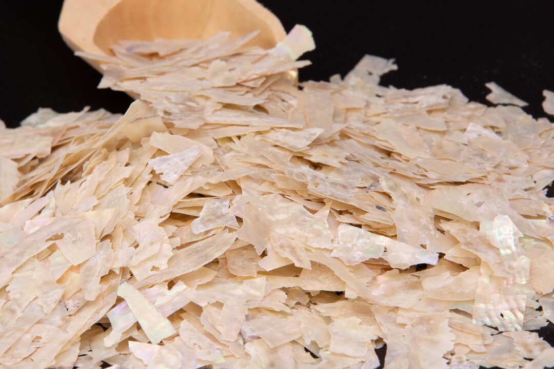 White Abalone Shell Chips - Etsy