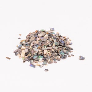 May include: A pile of iridescent, multi-colored, small, irregular shaped, shell pieces. The shell pieces are a mix of white, brown, and black.