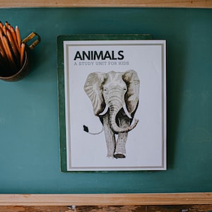 Animal Unit Study - Digital Download