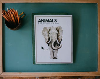 Estudo de Unidade Animal - Download Digital