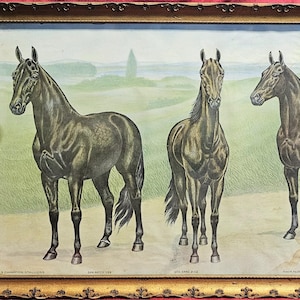 May include: An antique framed print featuring three dark-colored horses in a field. The horses are depicted in a realistic style, with detailed musculature and poses. The frame is ornate, with a gold finish. The print is labeled with text at the bottom.