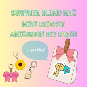 Mystery Mini Crochet Key Chain – Blind Box Surprise Add-On – Handmade Amigurumi Gift