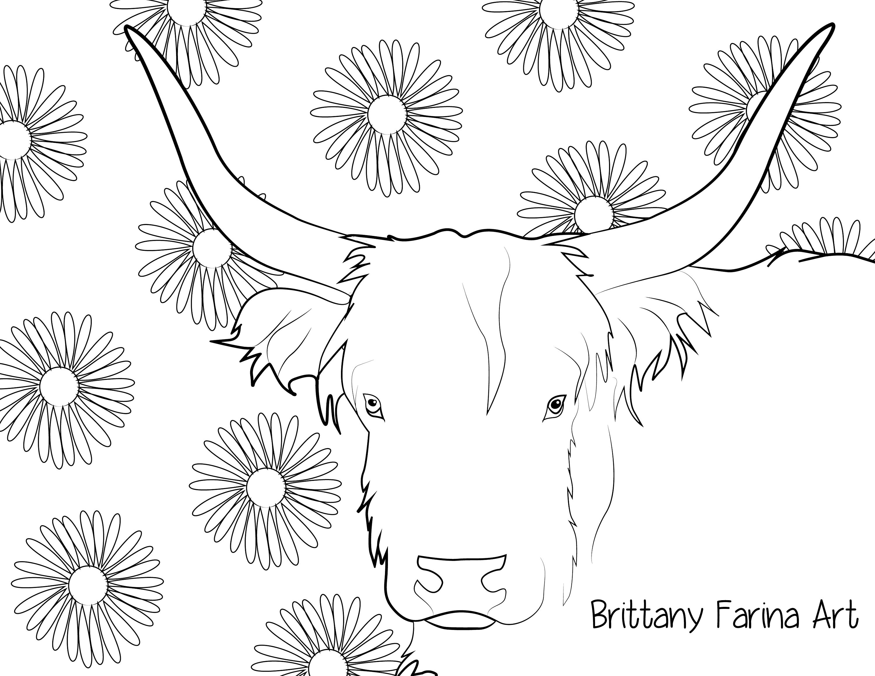 Cow Cow Coloring Page Etsy Australia
