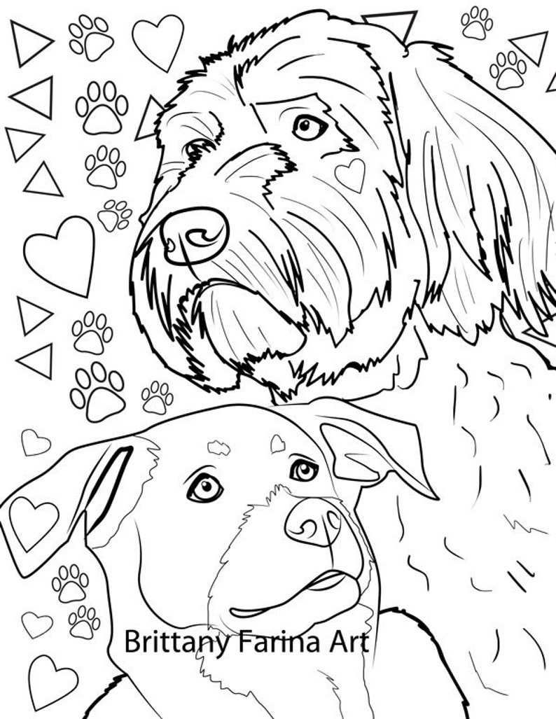Coloring Page of your pet | Etsy