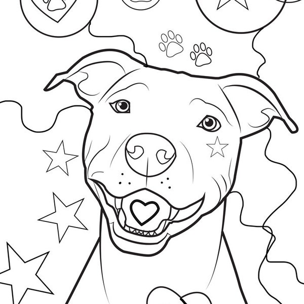 Pitbull coloring page, dog coloring page