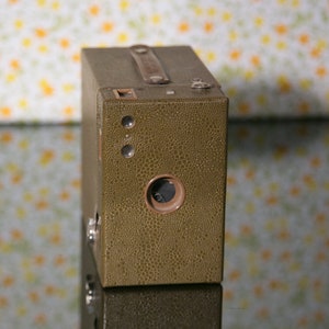 Tan Reptile Leather-ish Kodak Brownie No. 2 Box Camera - Vintage Box Camera - Free Shipping