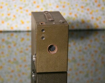 Tan Reptile Leather-ish Kodak Brownie No. 2 Box Camera - Vintage Box Camera - Free Shipping