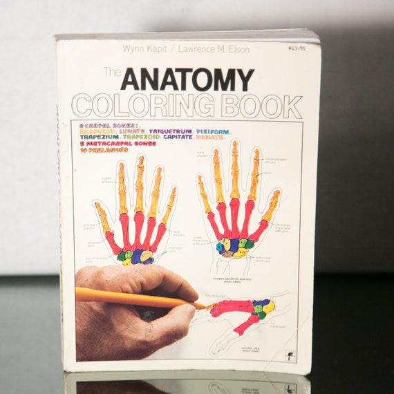 The Anatomy Coloring Book 1970s Version Wynn Kapit