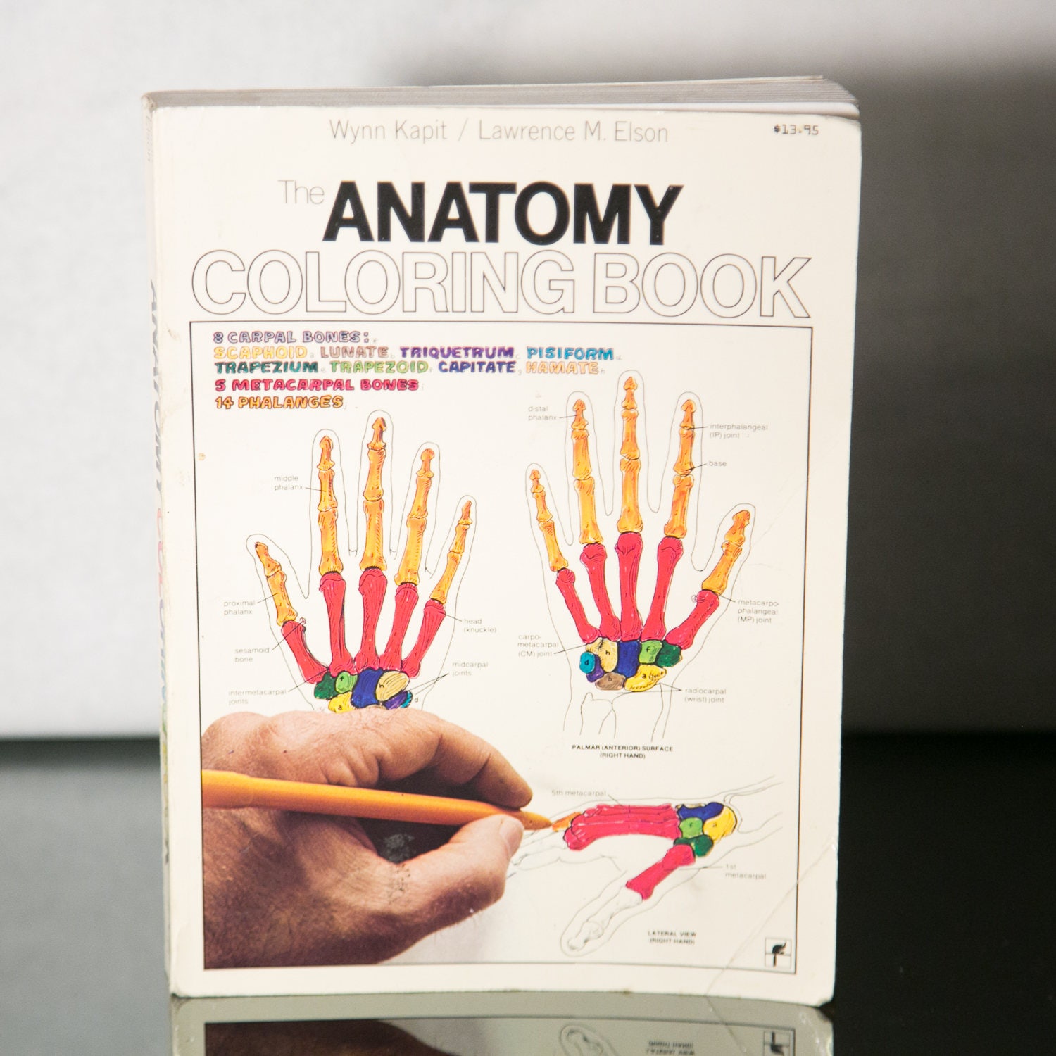 The Anatomy Coloring Book 1970s Version Wynn Kapit