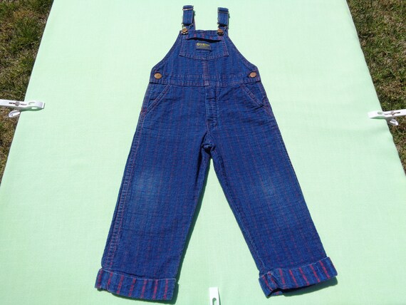 OshKosh BGosh Baby Girls 3-PIECE FLORAL SUSPENDER Jean DENIM SKIRT Floral Suspenders So Cute!