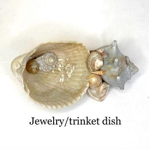 Seashell trinket or jewelry dish, or decor. One-of-a-kind home decor item crafted from seashells collected along the SC Lowcountry coast.